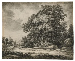 Paesaggio forestale