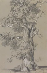 Parham, 13 ottobre 1834