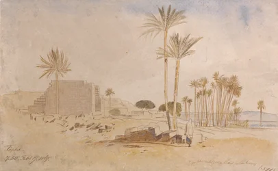 Tapha, ore 7:50 del 17 febbraio 1867