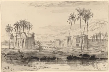 Tebe, 1884-1885