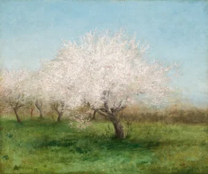 Meli in un prato 1890