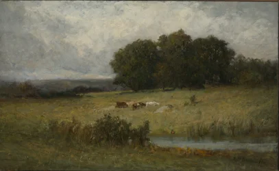 Scena luminosa di bestiame vicino al ruscello