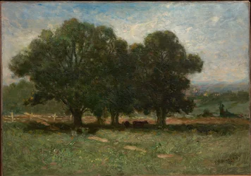 Paesaggio