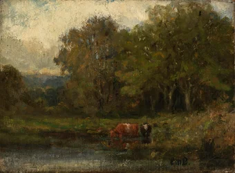 Paesaggio