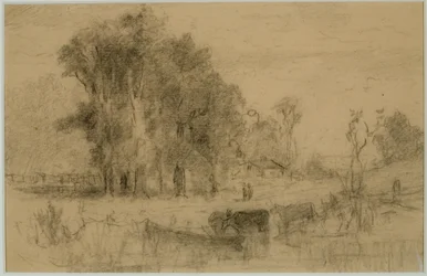 Paesaggio, barca a remi e mucche
