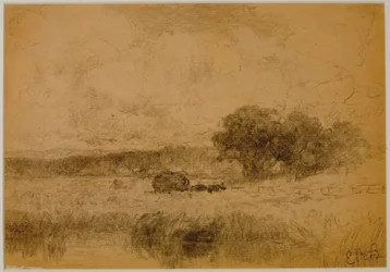 Paesaggio, boschi (#13) c. 1880