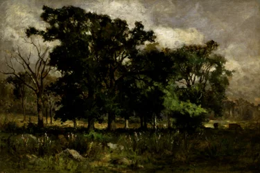 Paesaggio con alberi, 1877