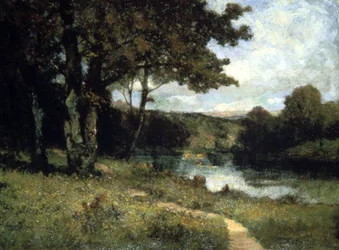 Alberi vicino a un fiume