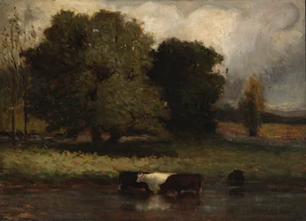 Senza titolo (Quattro mucche che sguazzano nello stagno)