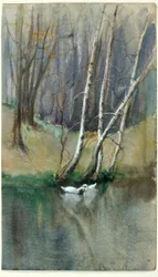 Senza titolo (Scena di bosco con betulle e anatre)