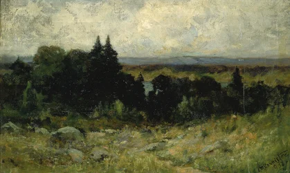 Senza titolo (paesaggio, campi con rocce e alberi)