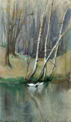 Scena di bosco senza titolo con betulle e anatre, n.d.