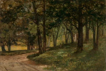 Paesaggio senza titolo con alberi, n.d.