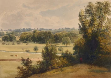 Paesaggio di alberi e campi