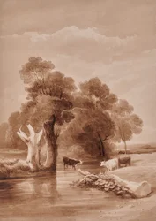 Paesaggio con ruscello