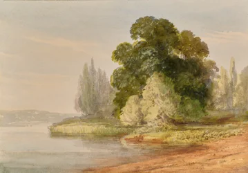 Paesaggio con alberi