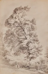 Paesaggio con alberi