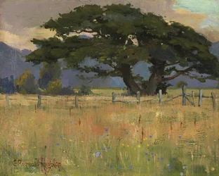 Un Prato sotto le Montagne, 1897