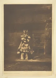 Ballerina mascherata - Cowichan