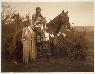 Addobbi Festivi - Cayuse