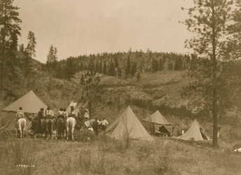 Campo dell
