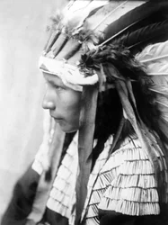 Ragazza Cheyenne, La figlia di Cavallo Cattivo (profilo), c. 1905, foto di Edward S. Curtis