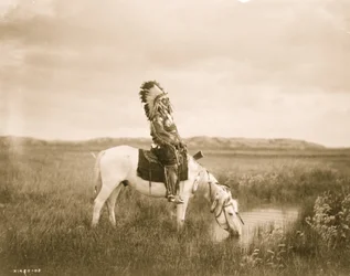 Oasi nelle Badlands 1905 (foto)