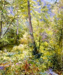 Luce Solare Screziata, Boschi di Sheepscombe