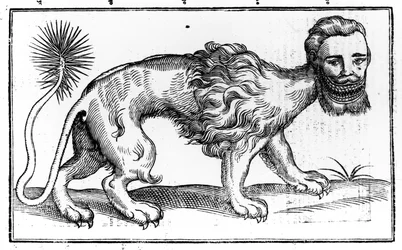 Manticora da 