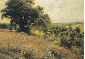 Nel prato
