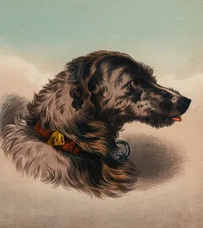 Il Segugio (?)