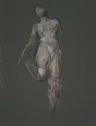 Studio di Figura Precoce