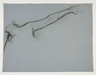 Studio di figura