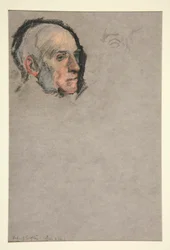 Testa d