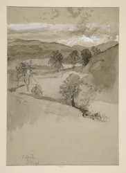Paesaggio - Campi