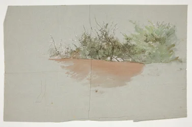 Paesaggio con alberi