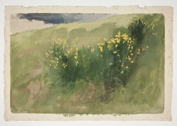 Paesaggio con fiori selvatici