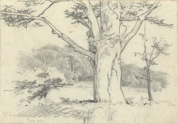 Nr. Lyndhurst, agosto 1871