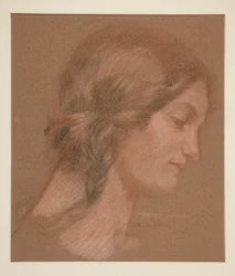 Ritratto di una donna di profilo