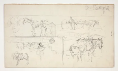Foglio di schizzi