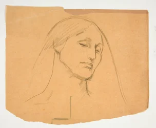 Studio di una donna
