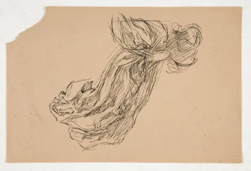Studio di un angelo