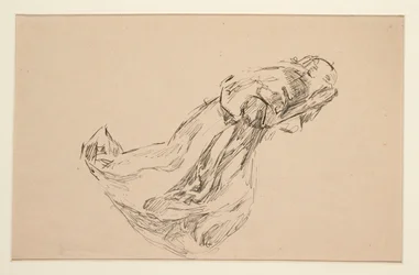 Studio di un angelo (per vetrata? per un soffitto?)