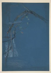 Studio di rami d