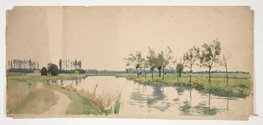 Alberi lungo una riva del fiume