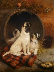 Vivi e impara