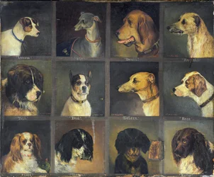 Dodici Cani Preferiti, 1883