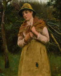 Raccolta di bastoni