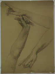 Tre studi di braccia