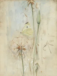 Farfalla e Cardo